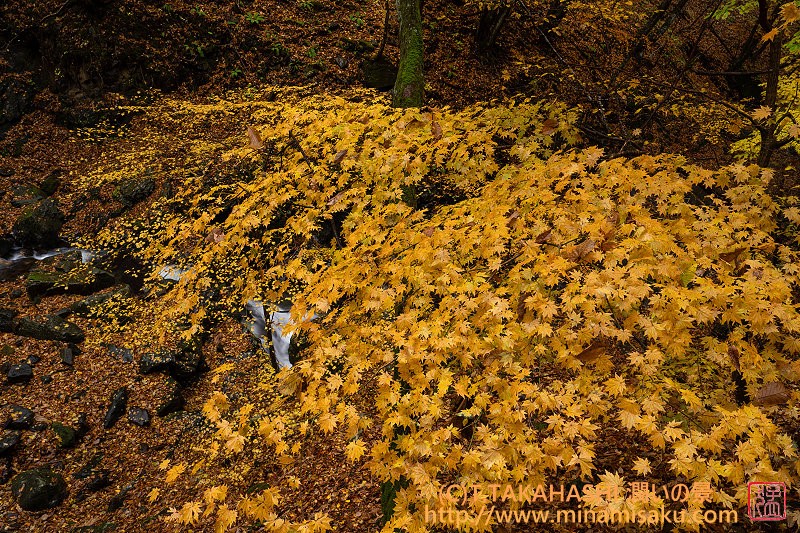 ../Images/7R251109 (251).jpg